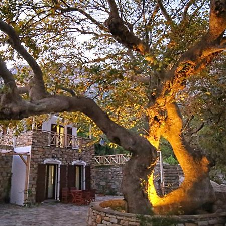 Вилла Ικαριων Γη Manganitis Экстерьер фото